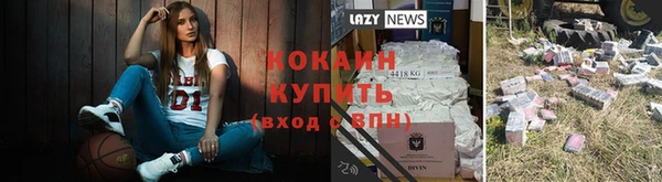 mix Бородино
