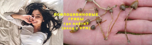 mix Бородино