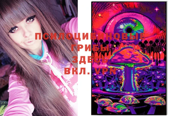 mix Бородино