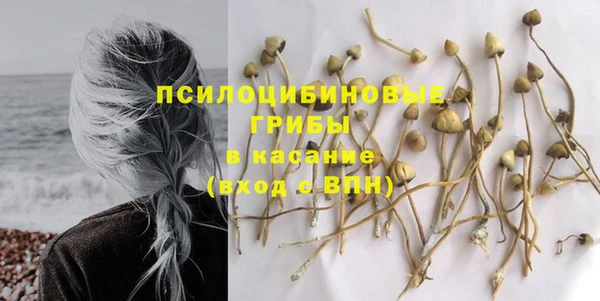 mix Бородино