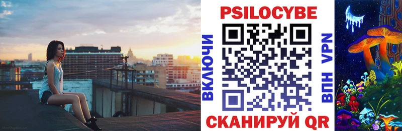 где найти наркотики  Санкт-Петербург  Псилоцибиновые грибы Psilocybine cubensis 